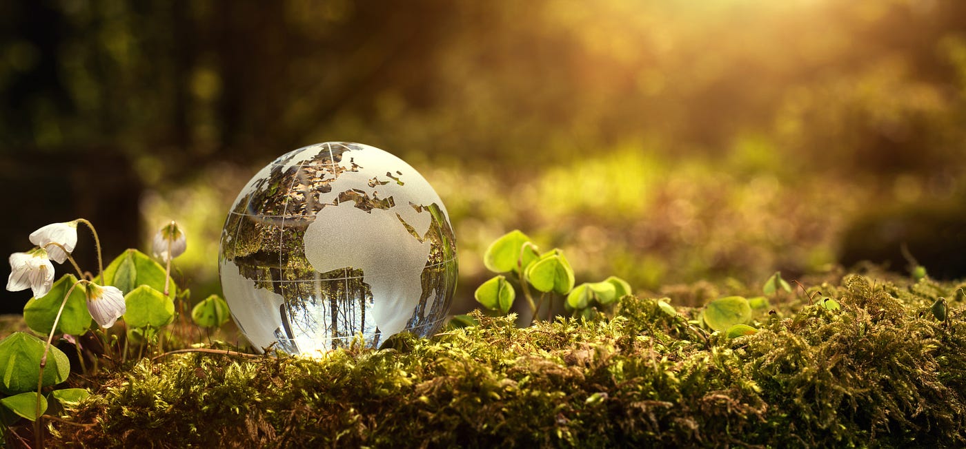 Glass Globe on Forest Green Ground