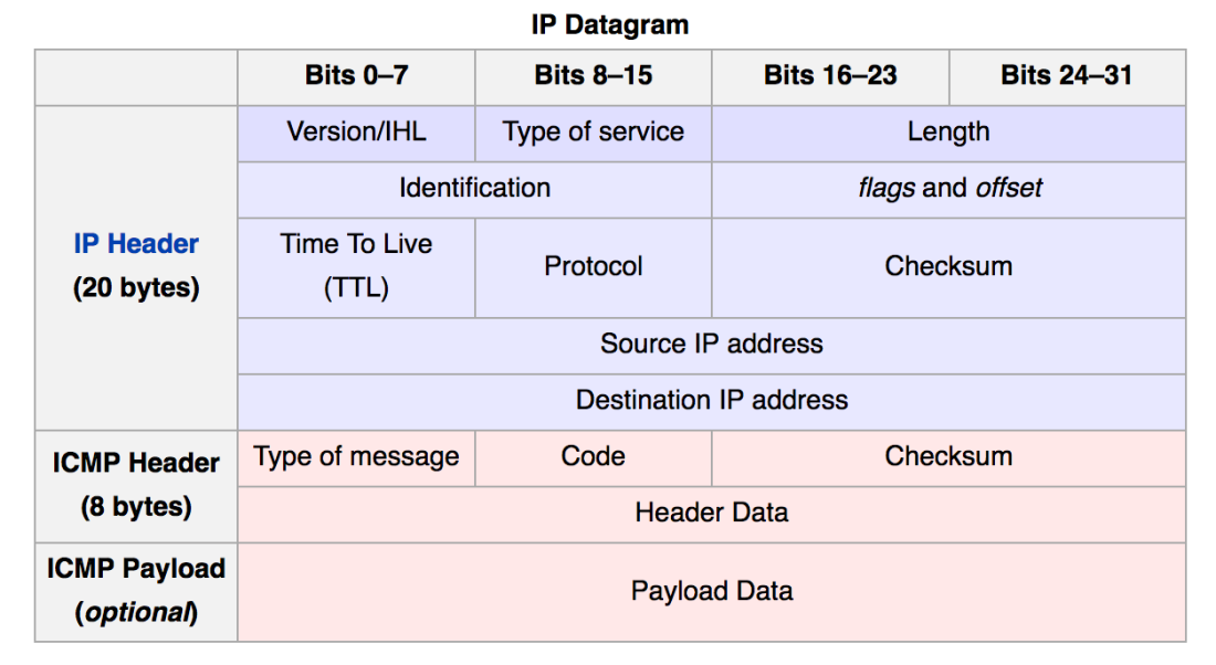 ICMP ip datagram