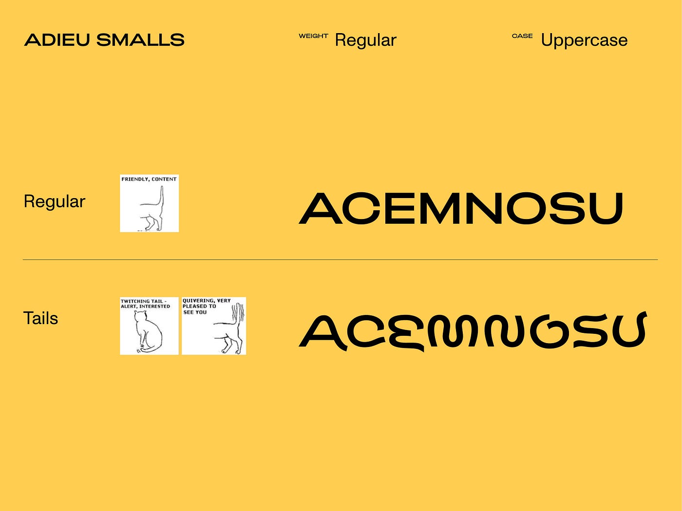 Exploring Visual Brand Identity What Does A “Cat Person” Look Like