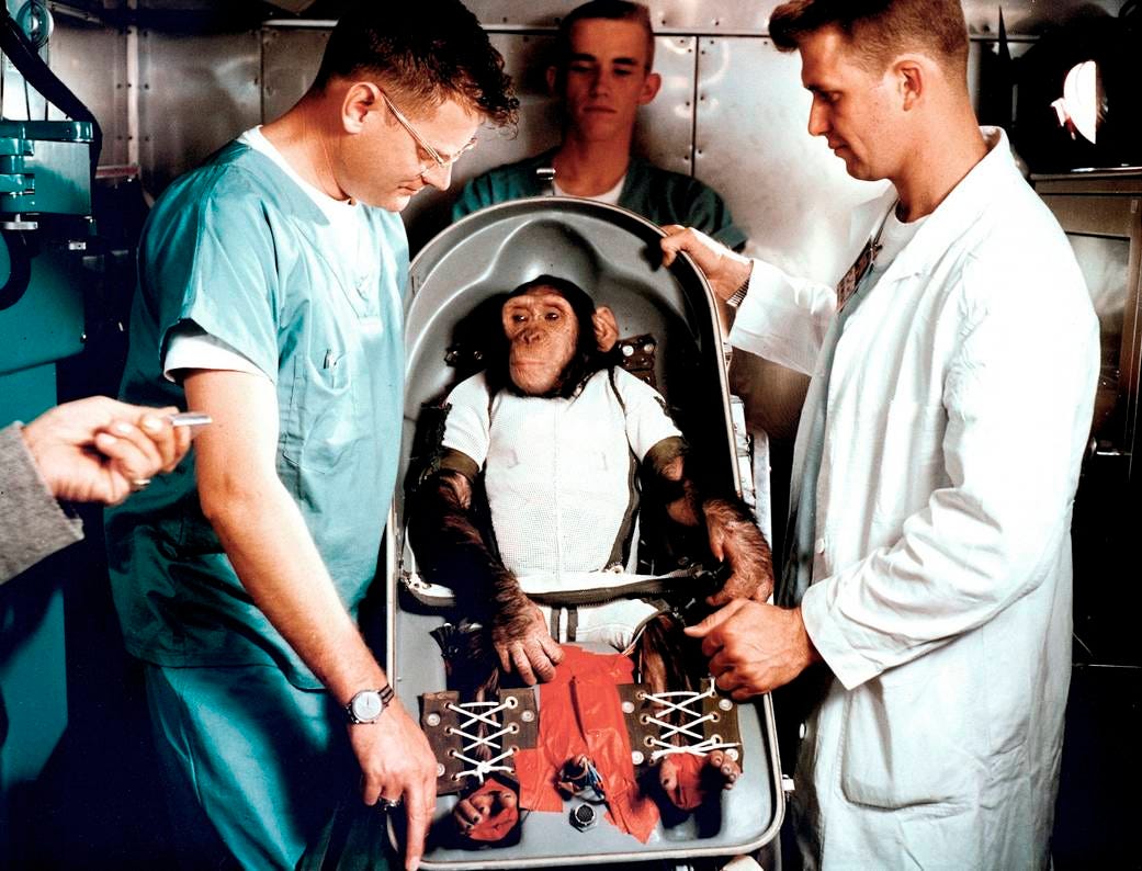 an archival photo of scientists in lab coats and scrubs surrounding a juvenile chimpanzee strapped into a rocket