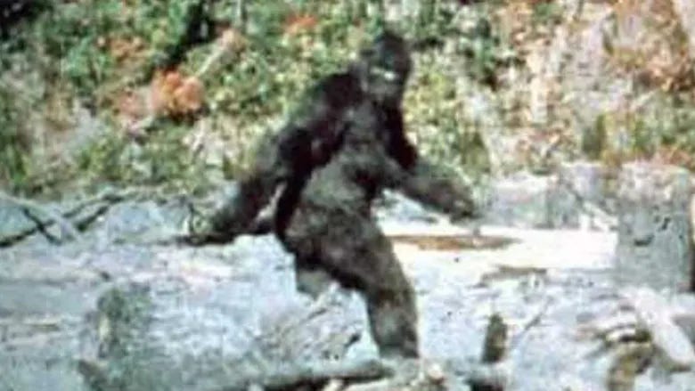 The famous image of Bigfoot, a dark-fur-covered humanoid, loping through the woods and looking back toward the camera