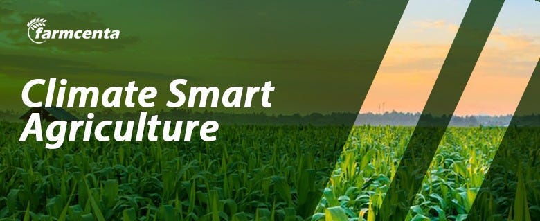 Climate Smart Agriculture Ensuring Food Security In Nigeria By Farmcenta Medium 8641