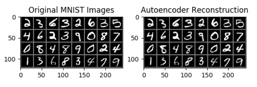 What happens in Sparse Autoencoder | by Syoya Zhou | Medium
