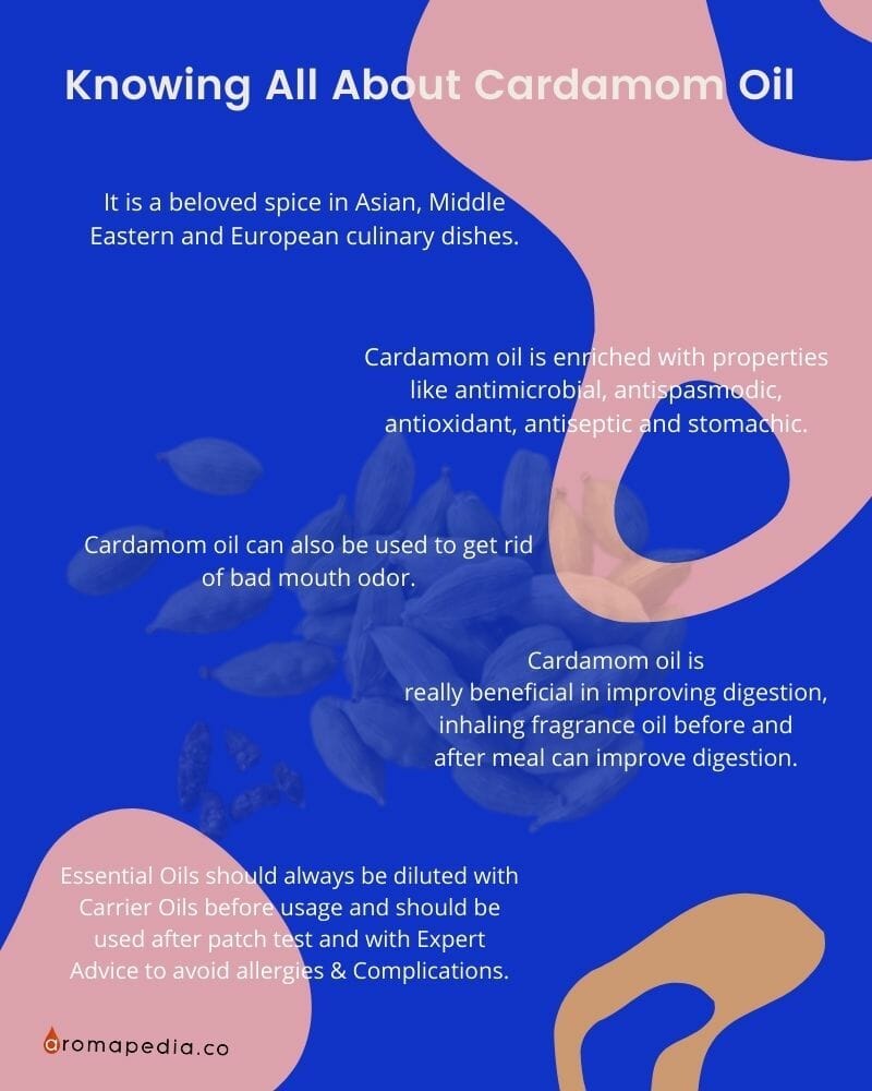CARDAMOM OIL PROPERTIES AND USAGE GUIDE by Aromapedia Co Medium