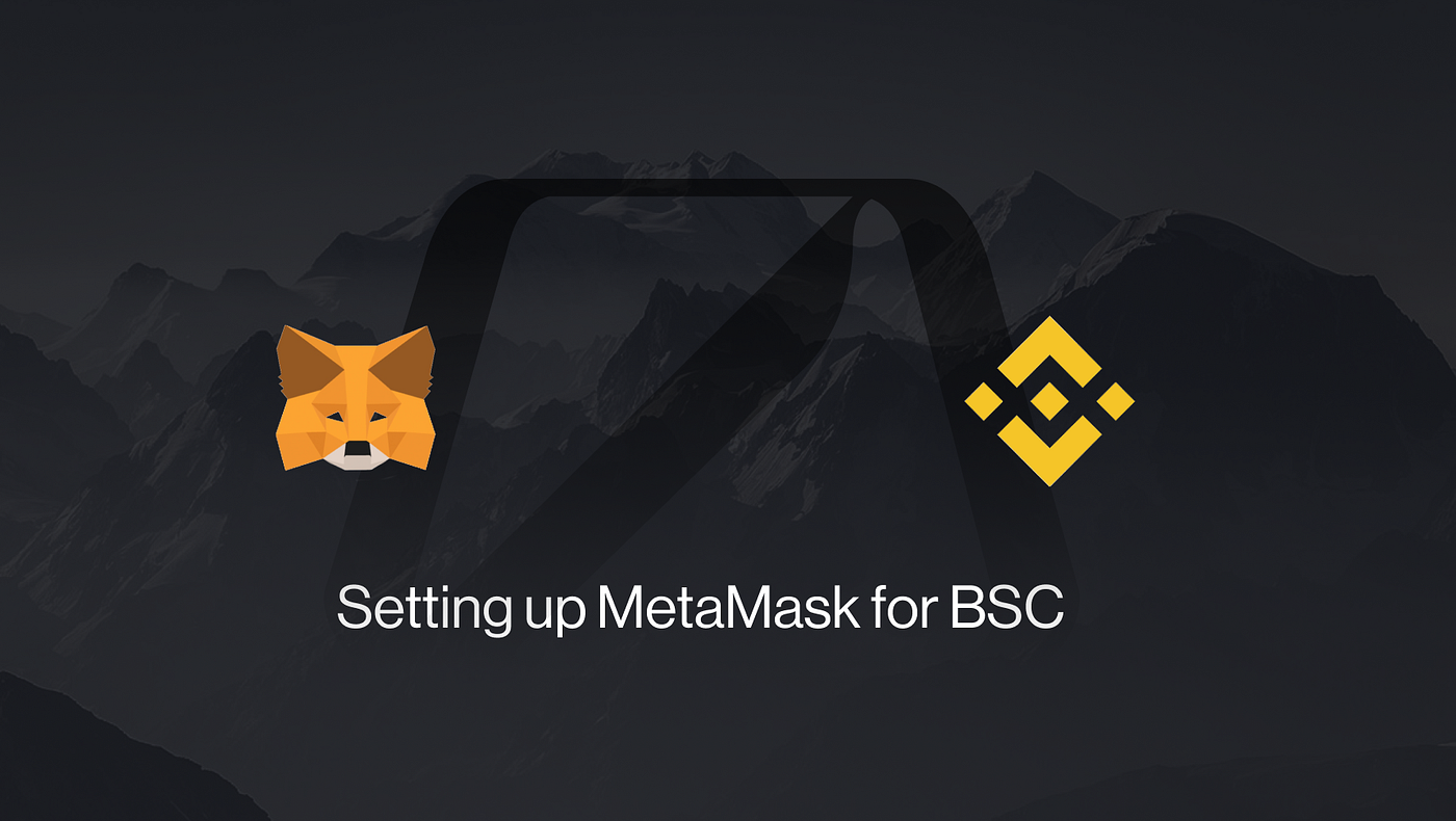 How to access Binance Smart Chain (BSC) via MetaMask tutorial by