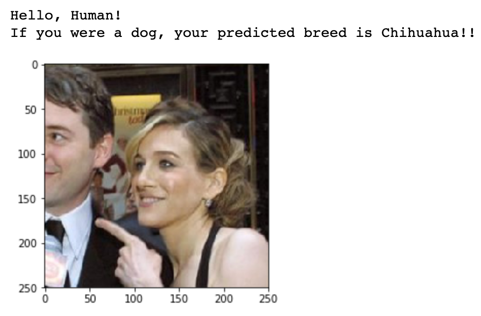 Dog breed classification using Deep learning | by Lakshmi Kumar ...