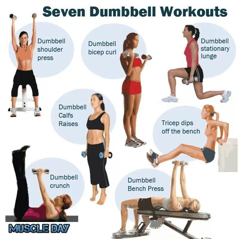 Home Workout Routine Workout At Home Using Hand Weights By Carlos Mack Medium