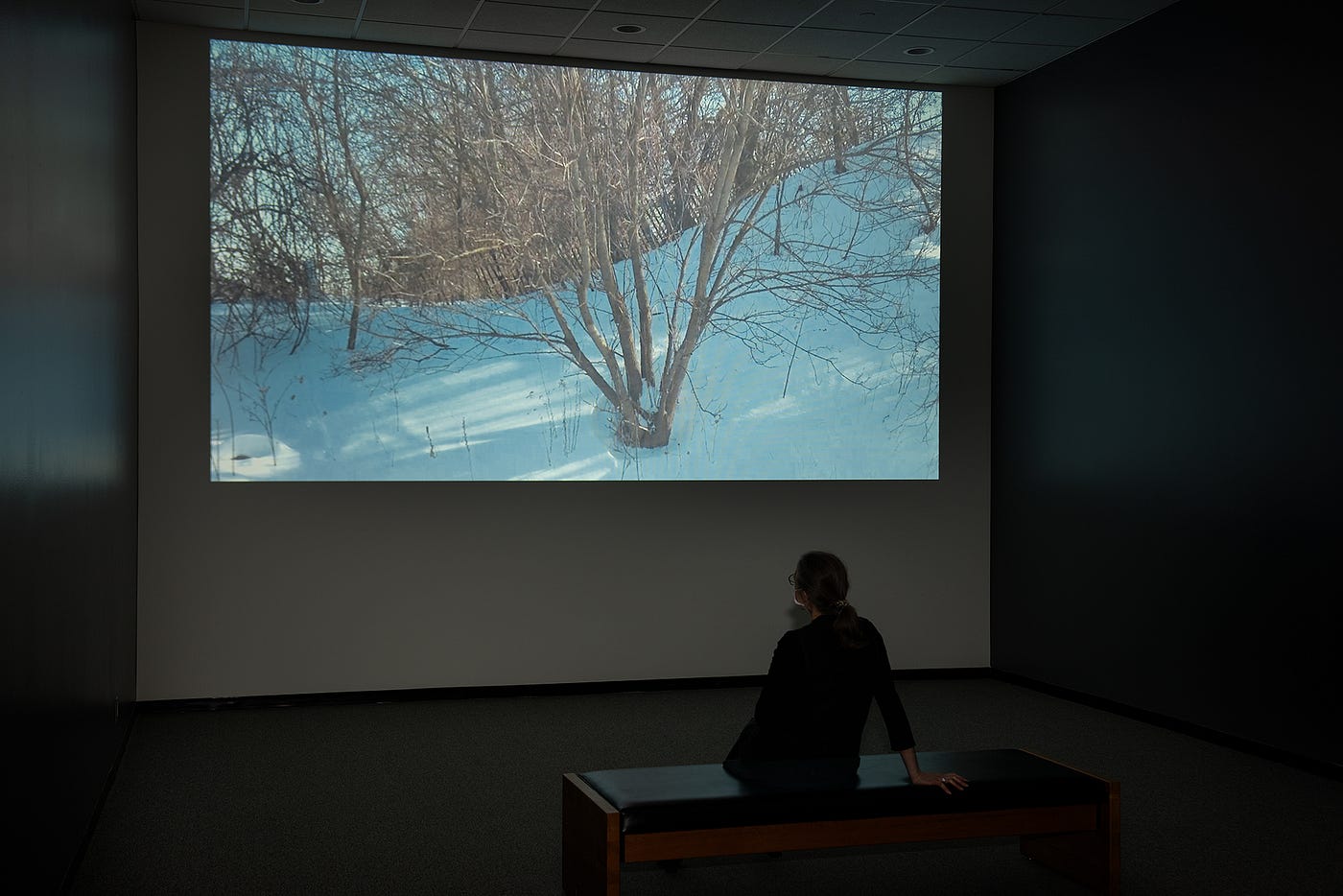 A person watches a projection of a series of trees in the winter.