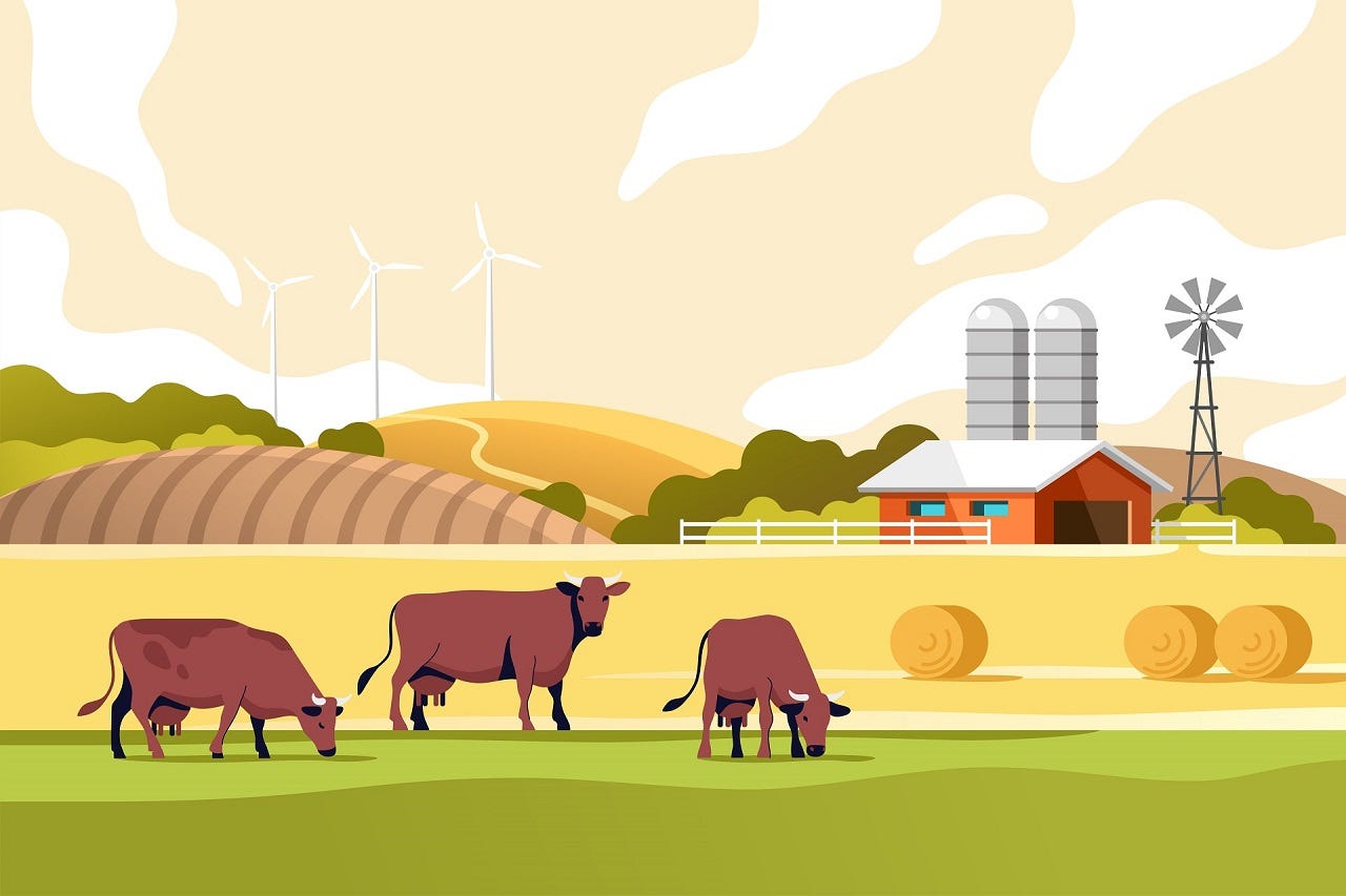 Countryside Finance Protocol