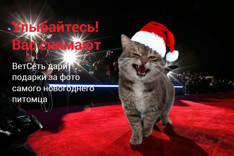 Смотреть Новый Год Решать