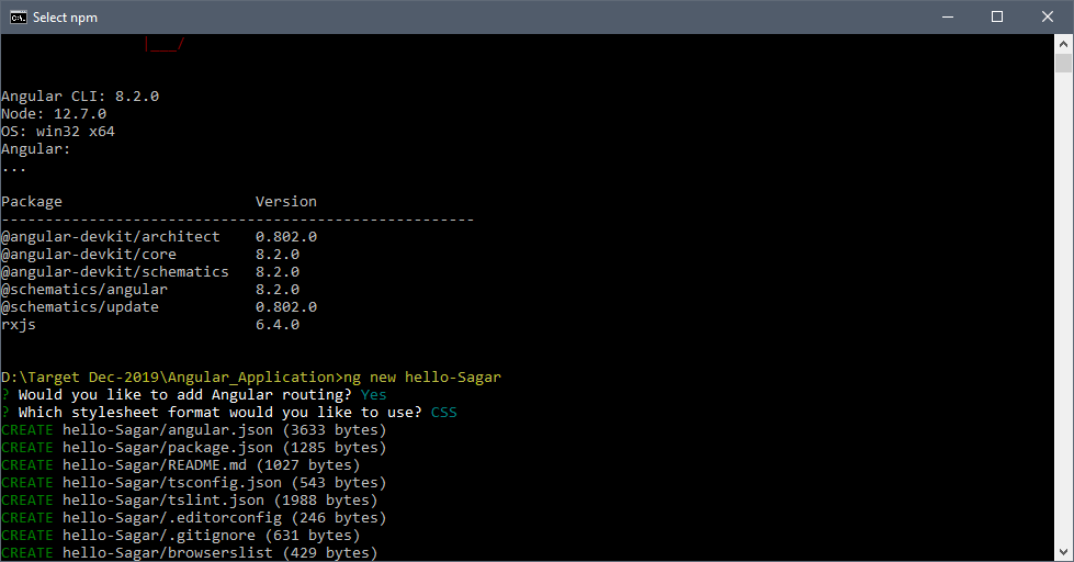 Angular 8 Pack & Project Structure PartII — Sagar Jaybhay by