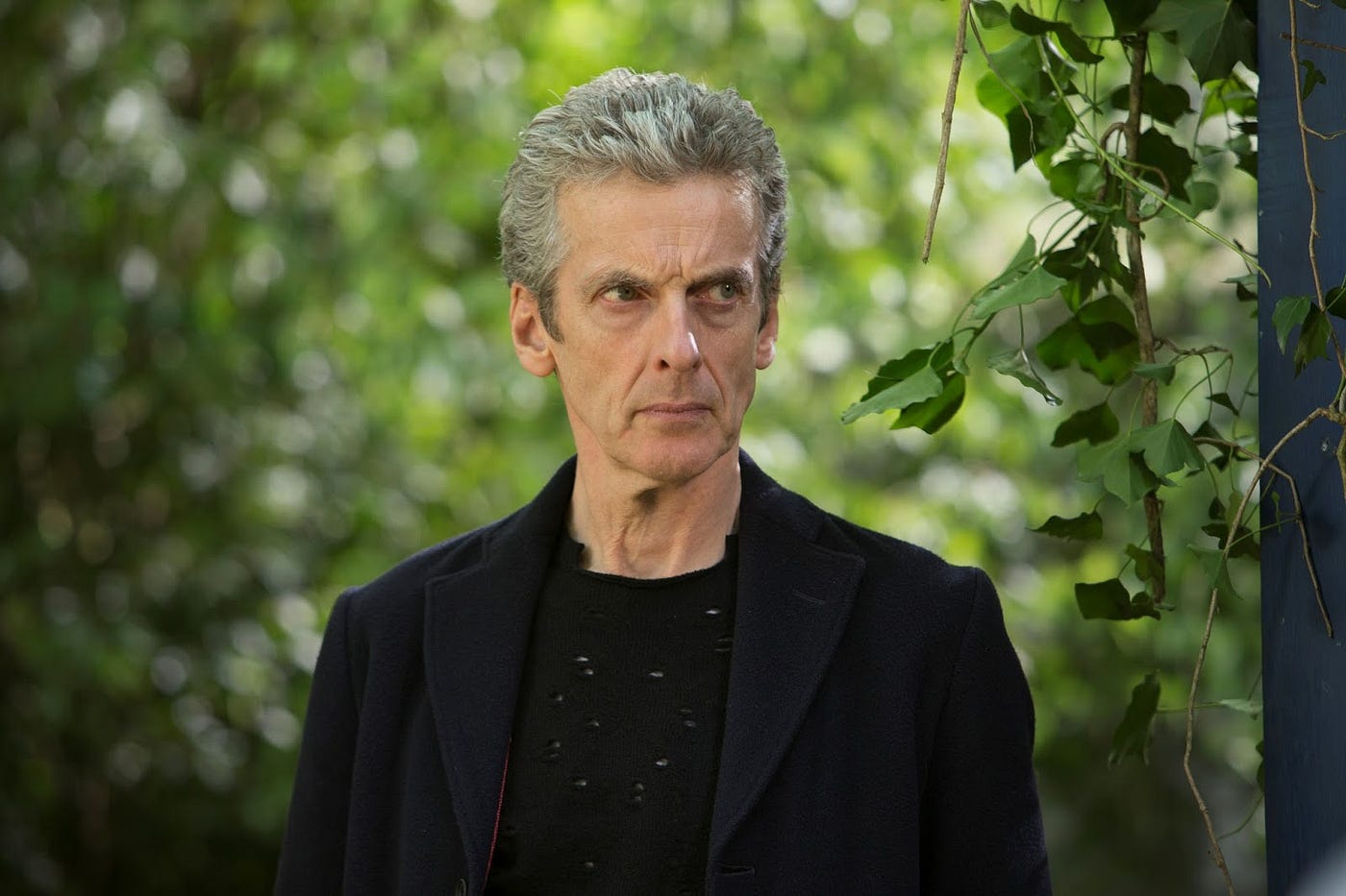 Tv Review Doctor Who In The Forest Of The Night By Simon Cocks What Simon S Seen