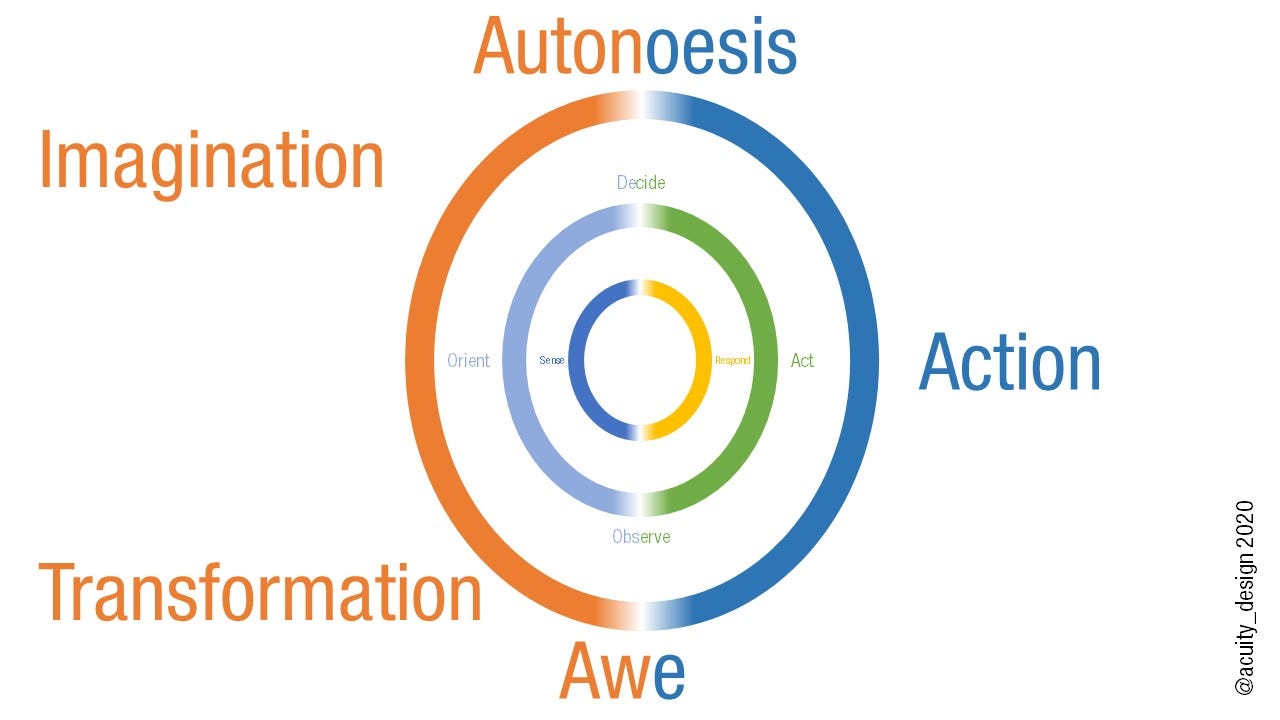 Imagination to Transformation via Autonoesis, Action and Awe