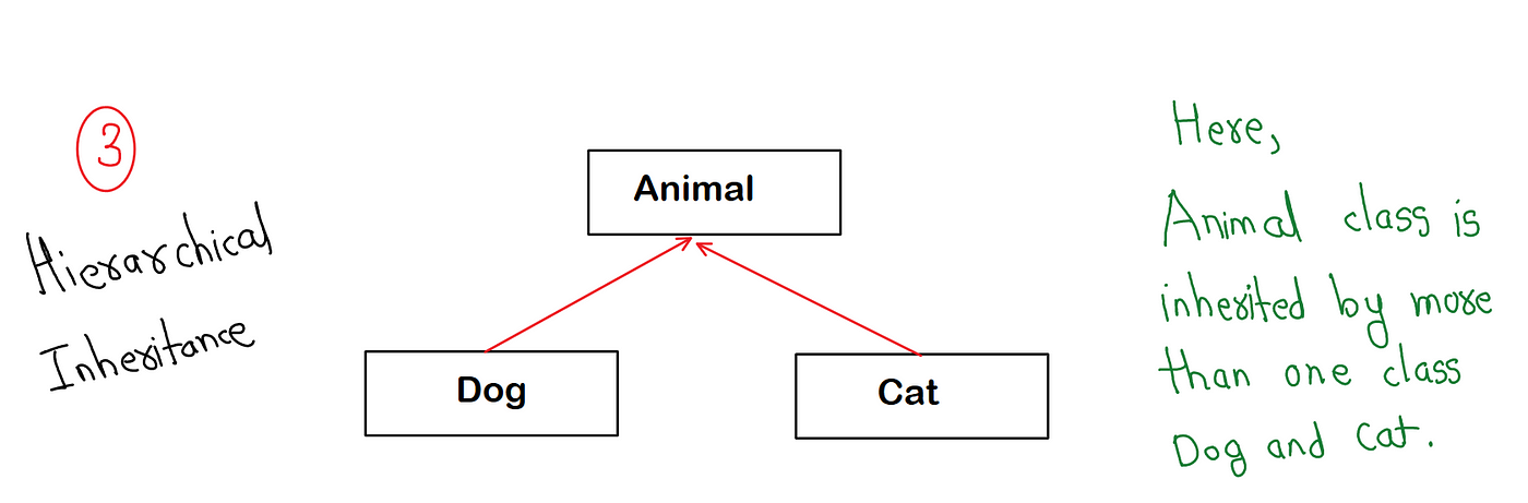 Comparison Inheritance And Polymorphism | by Akash Shekhavat | Dev Genius