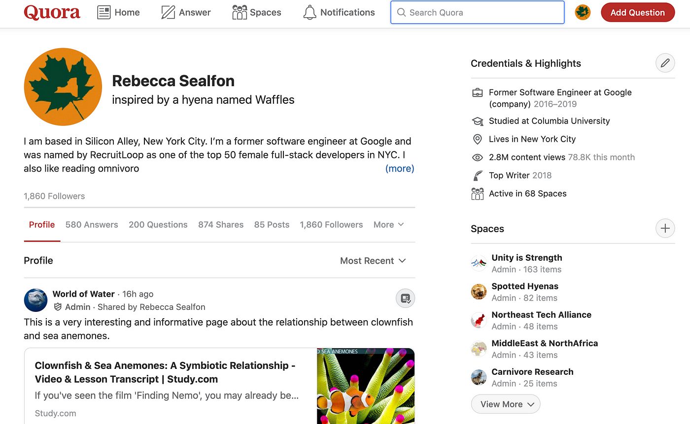 How to Write and Contribute to Spaces on Quora  by Rebecca