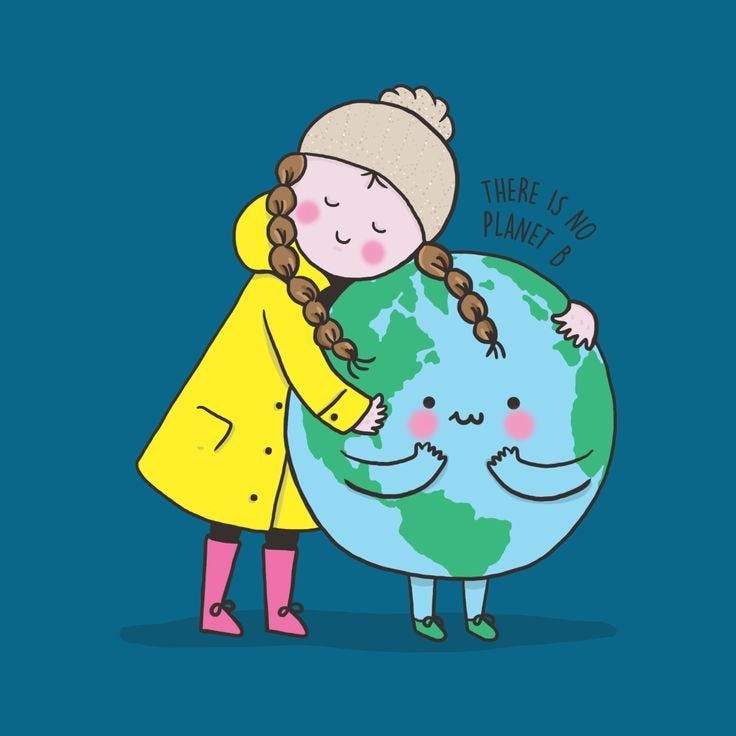 There is no planet b image