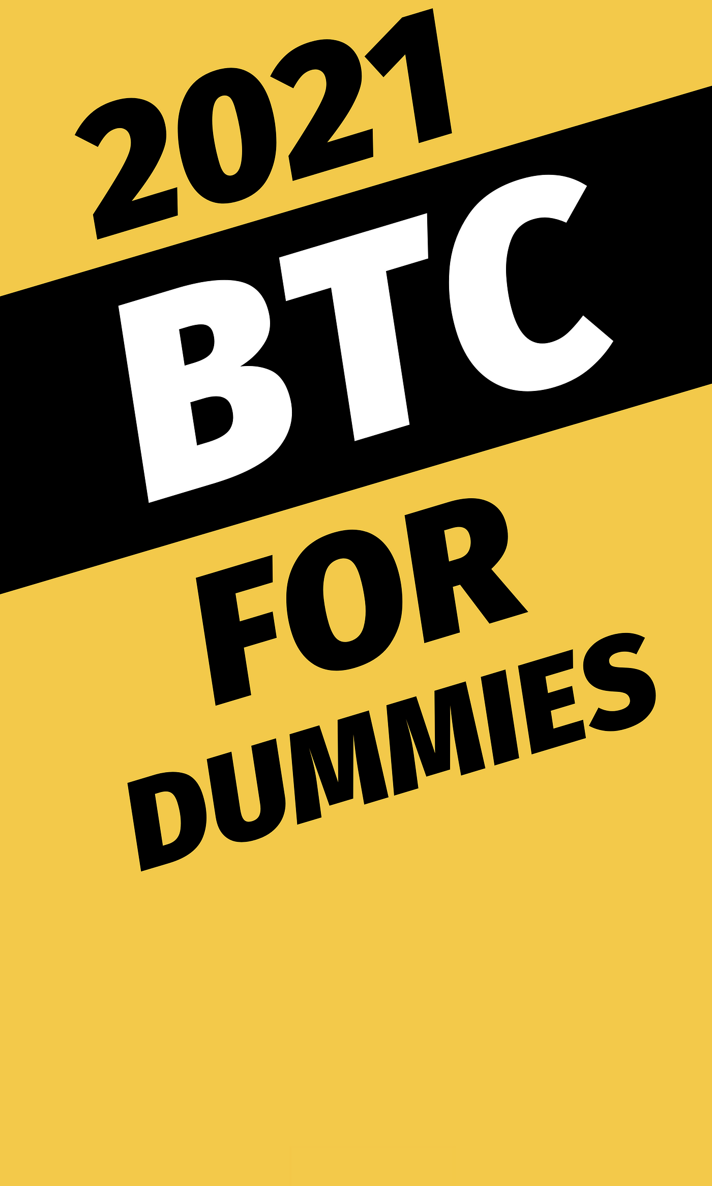 stockage bitcoins for dummies