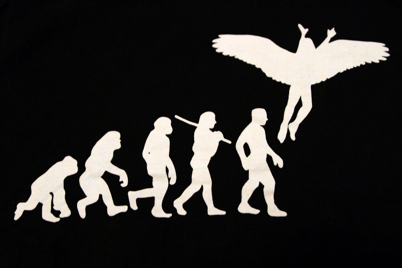 Black and white illustration of human evolution in black and white with final illustration having wings.