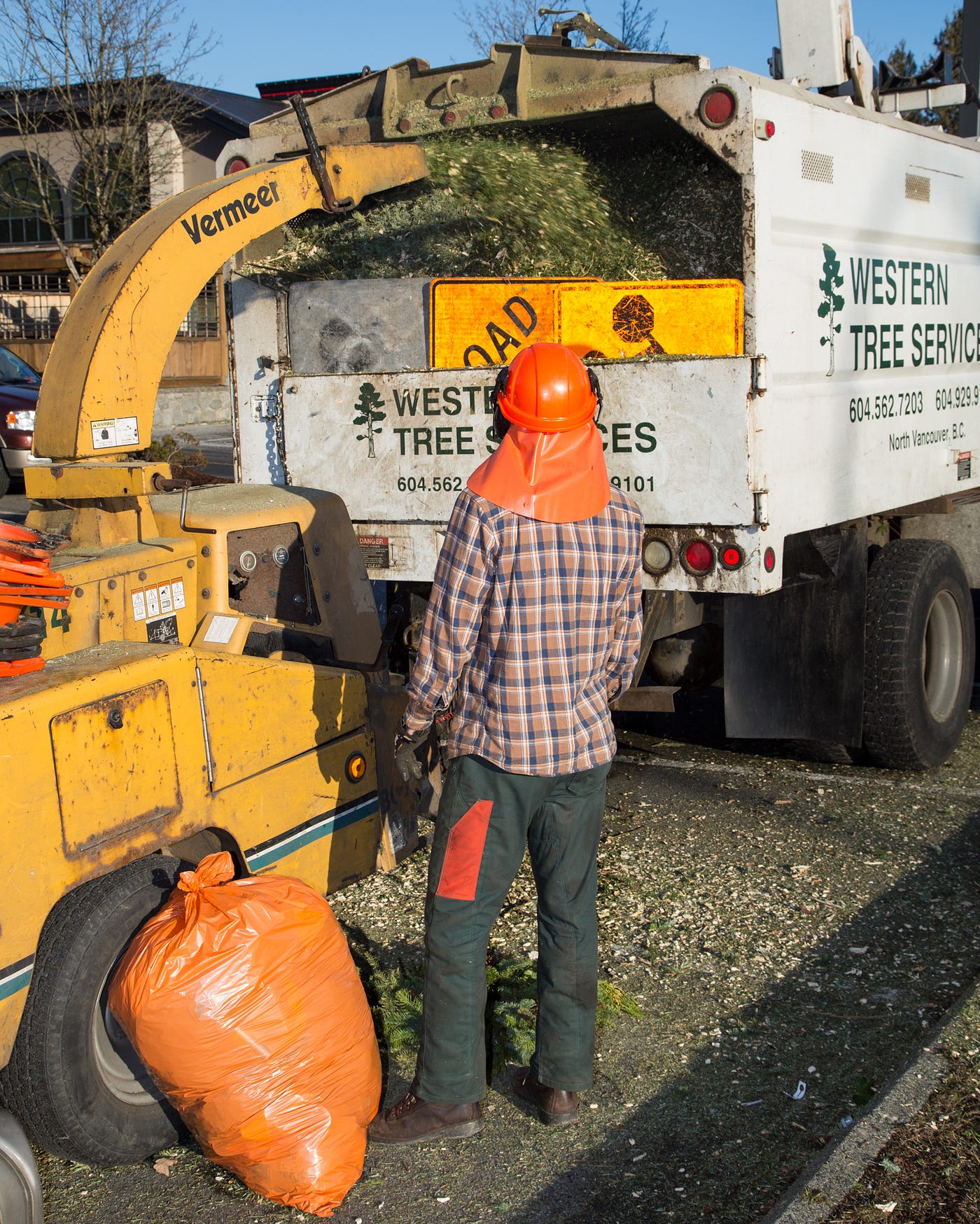 Tree Trimming Dallas