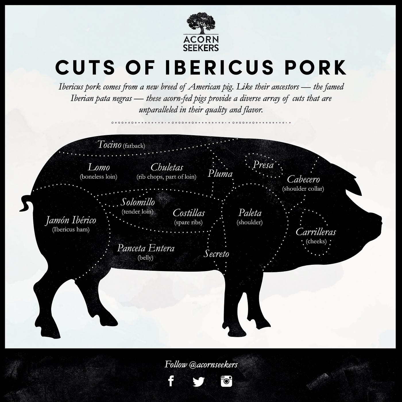 Ibericus Pork Is Here At Last: Which Cut Will You Try First? | by  Acornseekers | The Bellota | Medium