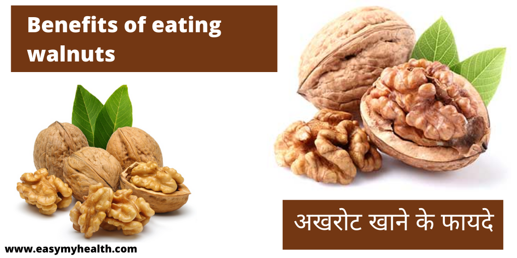 अखरोट खाने के फायदे — Benefits of eating walnuts in hindi by karan
