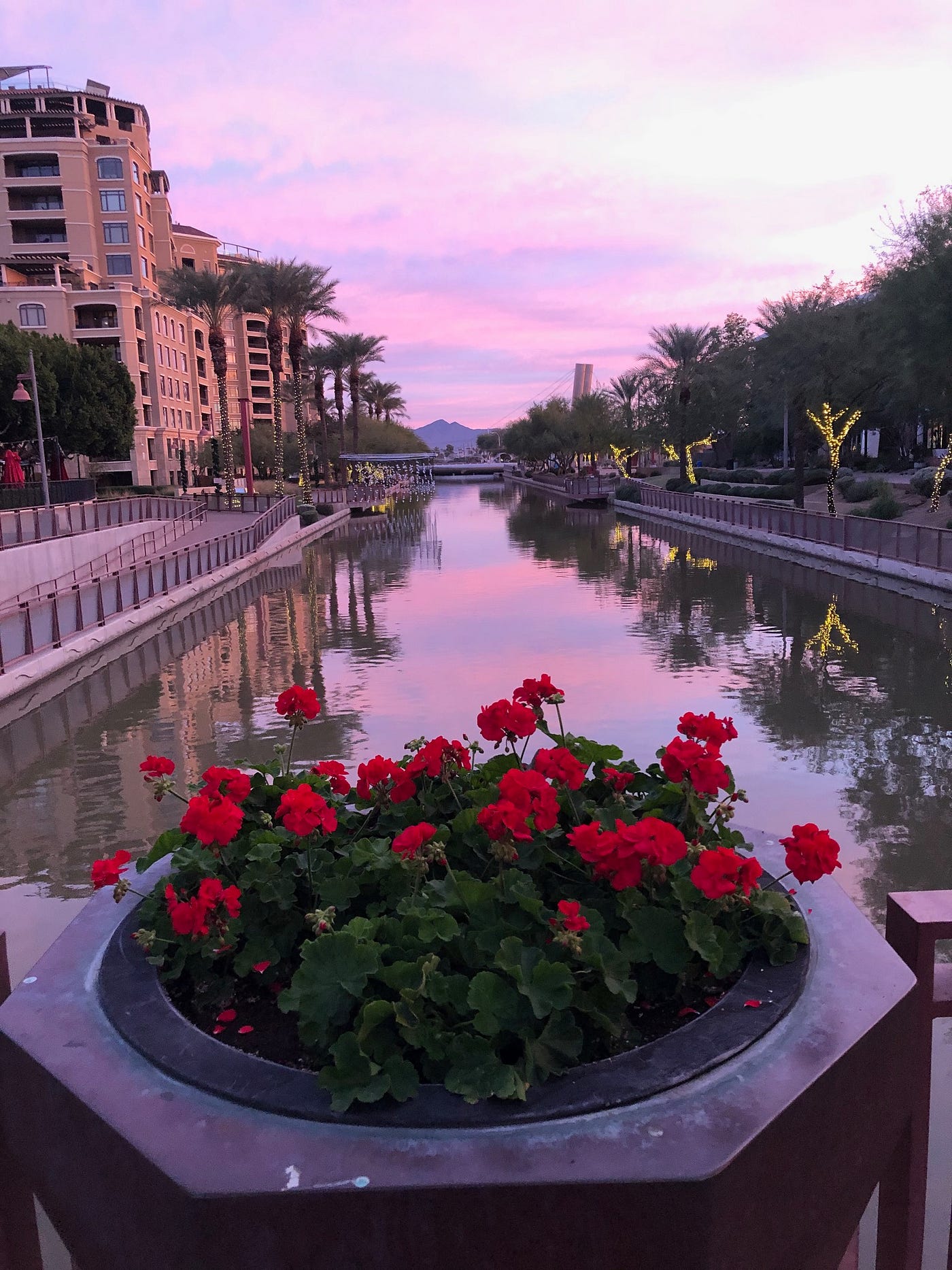 Back To The Future & Living Lessons In Scottsdale by Arizona Progress