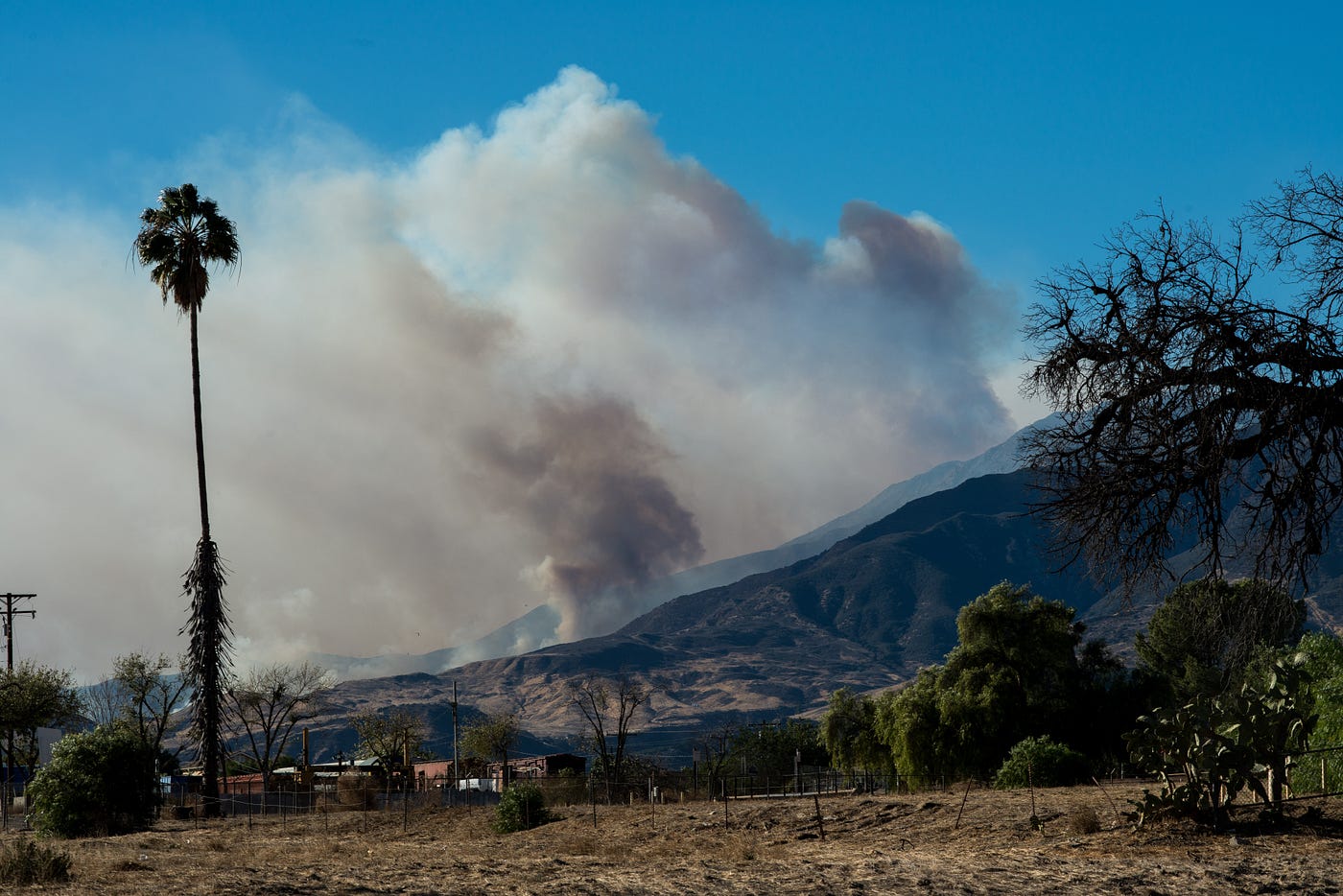 The City Burning. Los Angeles has a time problem. People… by Zan