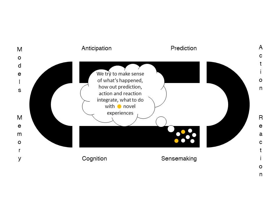 Sensemaking: we try to make sense of what’s happened, how our predictions, action &reaction integrate, what to do with novel