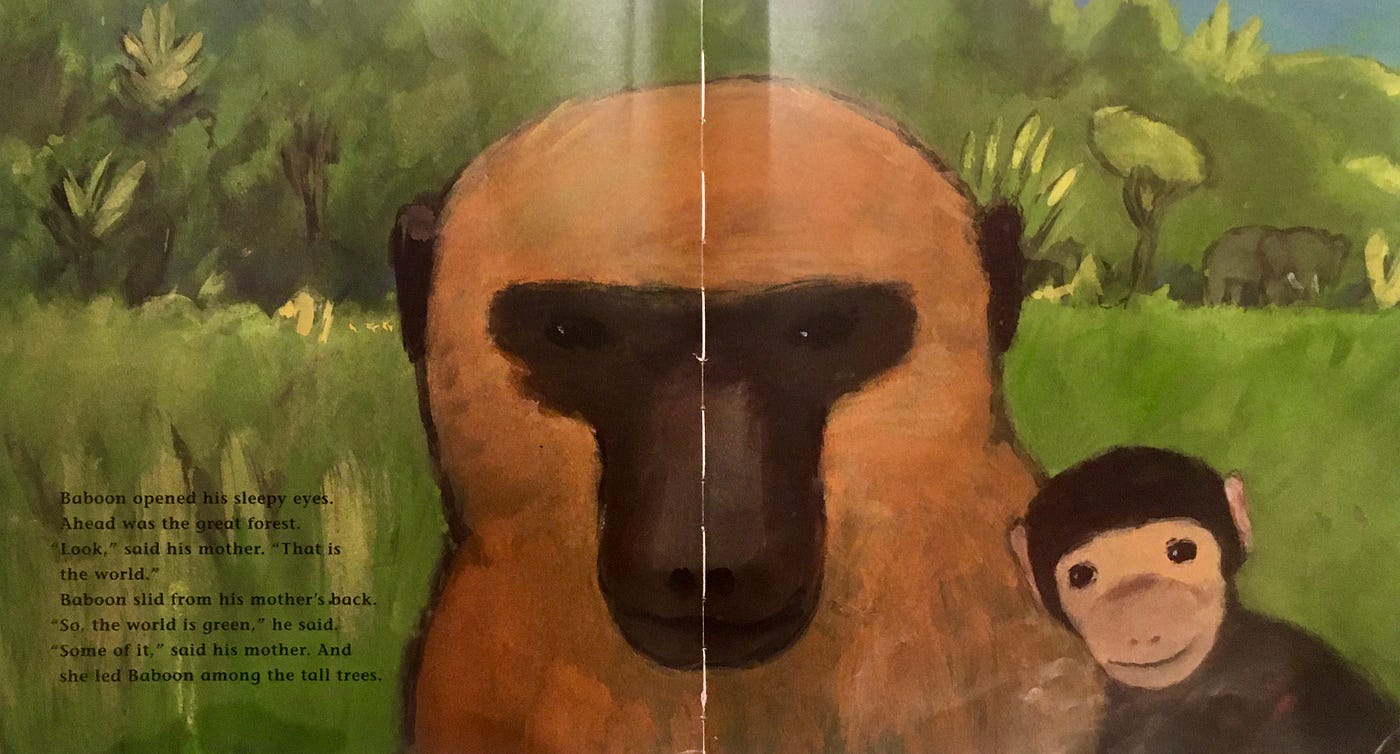 小小孩的大世界观 Bookseed 4 Baboon By Kate Banks And By Maggie Ma Medium