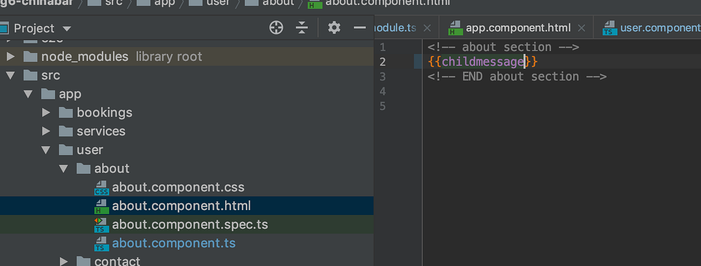 Angular 6 pass data from parent component to child component by Sky