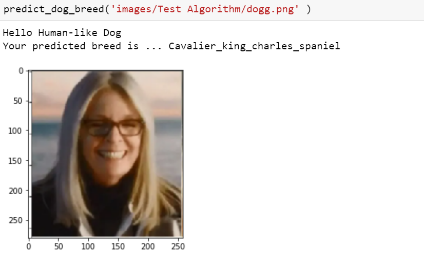 Dog Breed Classification using Deep Learning | by Kaushal Limbachiya ...