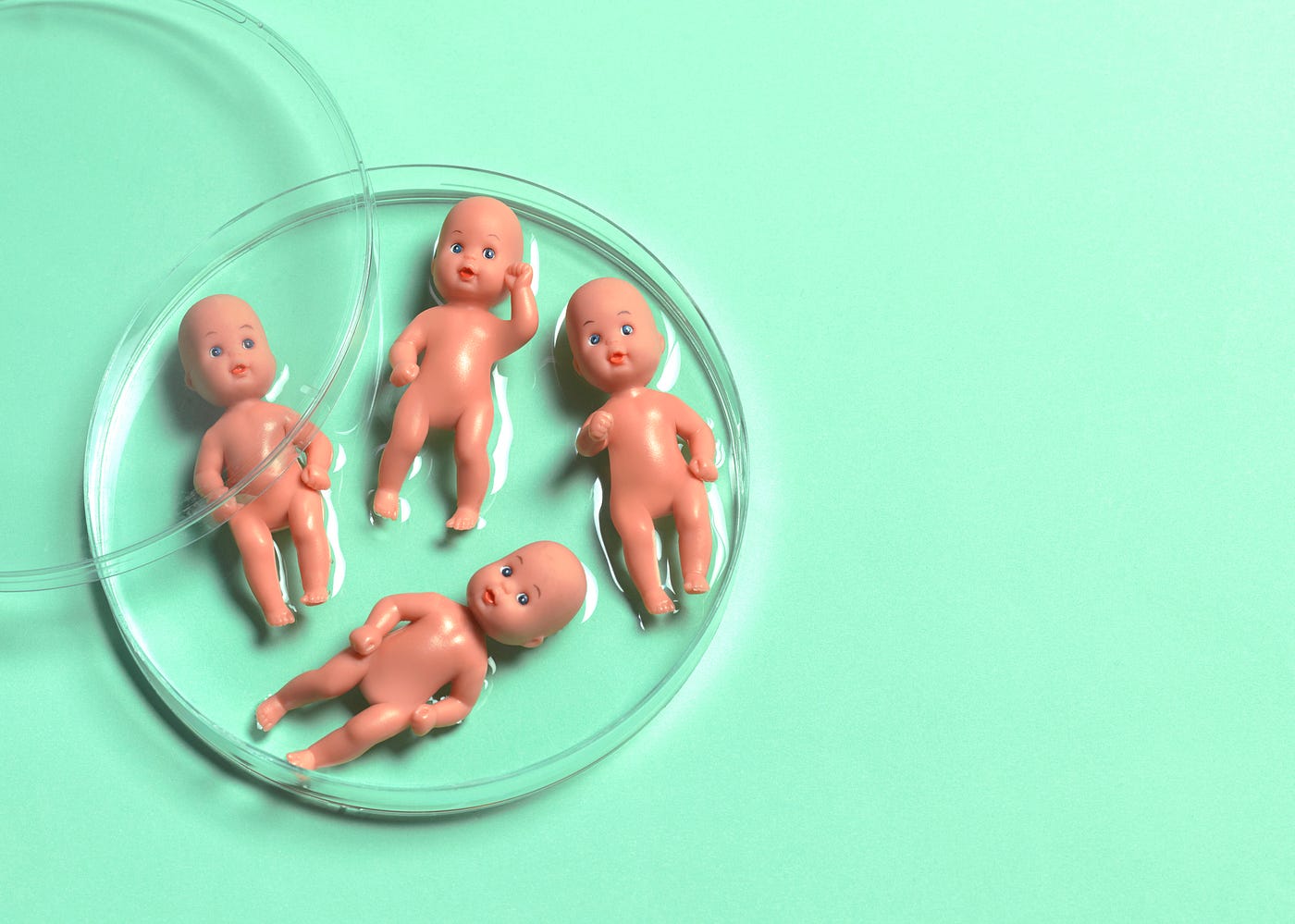 Baby figures in petri dish to symbolize IVF.