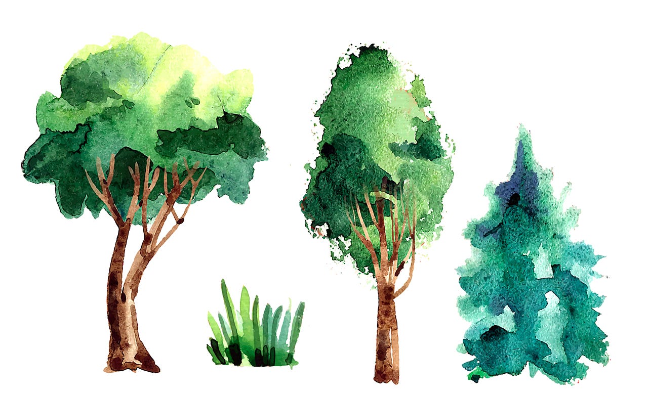 water color trees