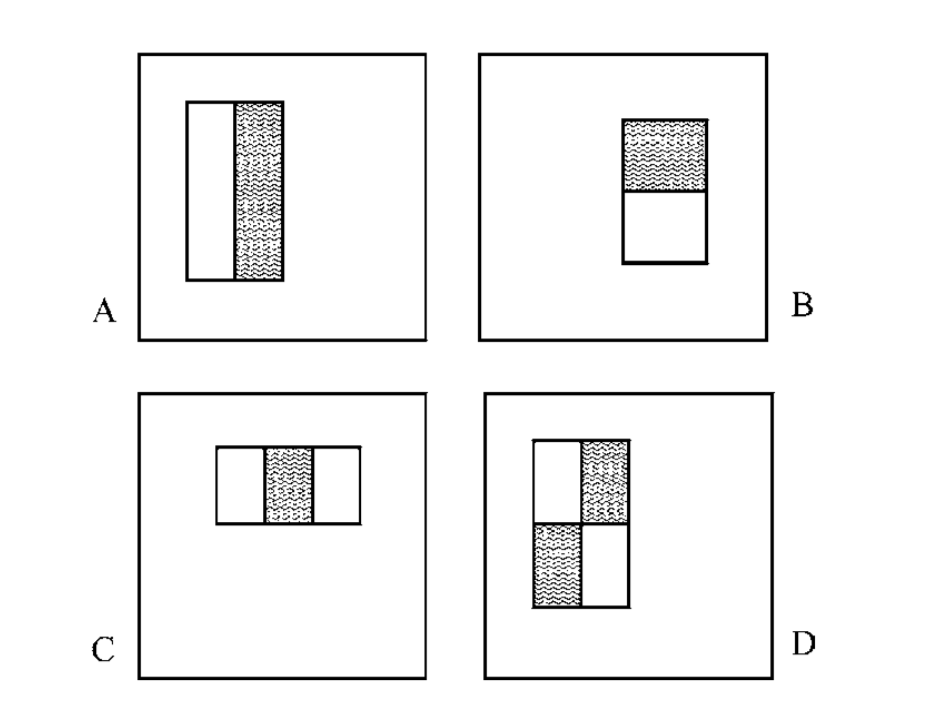 Understanding and Implementing the Viola-Jones Image Classification  Algorithm | by Anmol Parande | DataDrivenInvestor