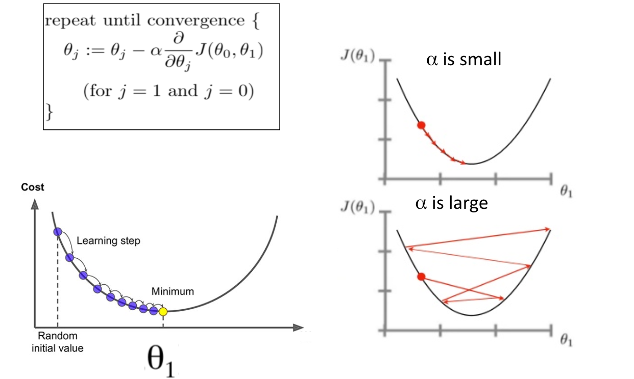 3 Types of Gradient Descent Algorithms for Small & Large Data Sets