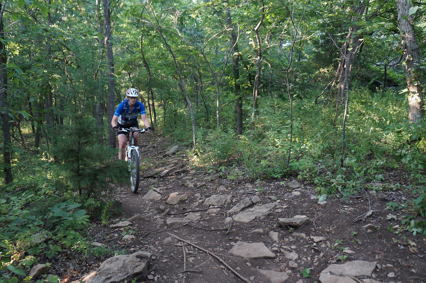 Shawnee Mission Park Mountain Bike Trails 2024 www.alhudapk