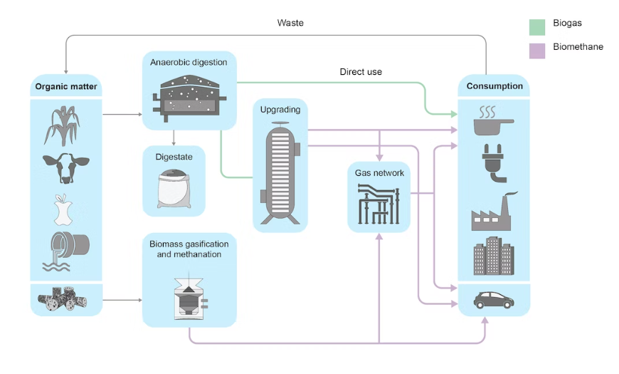 Organic Waste Has Enormous Potential In Europe By Pablo Moral Aug   1*Go4n9 3GItl8qDYY OLv7g 