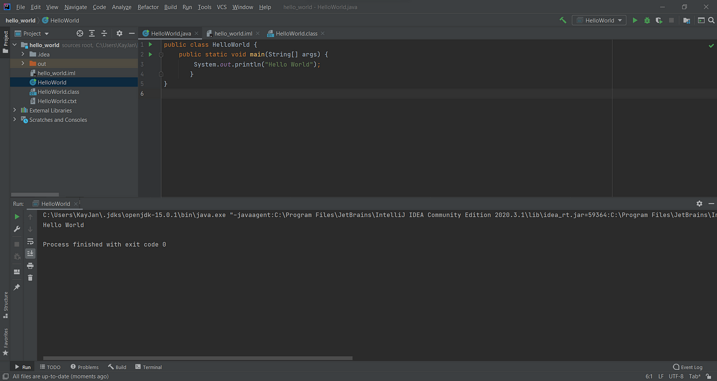 Gambar 13: Menjalankan Java di IntelliJ IDEA- Gambar oleh penulis