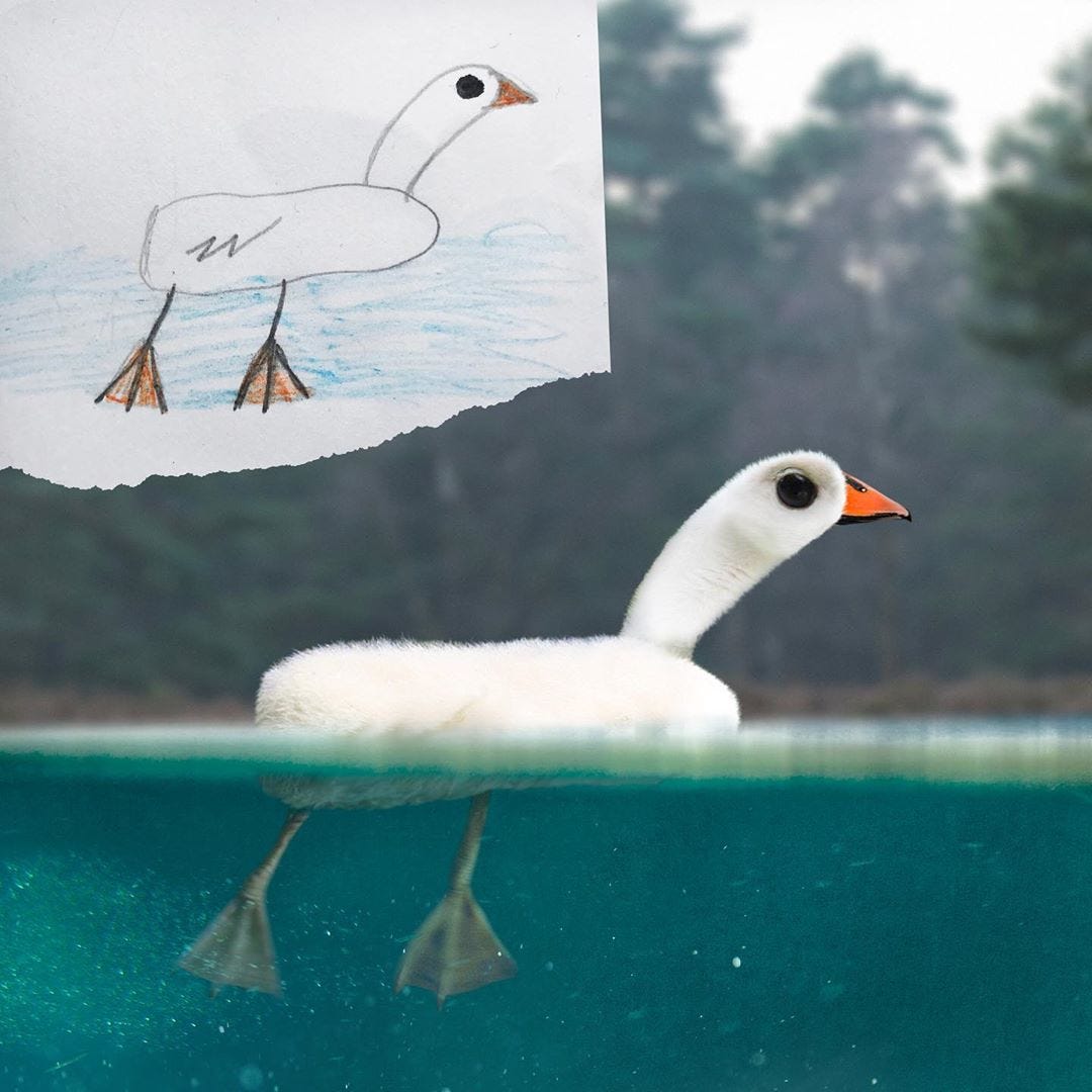 The top left corner shows a child’s drawing of a duck floating in water. The main pic is a realistic version of the drawing.