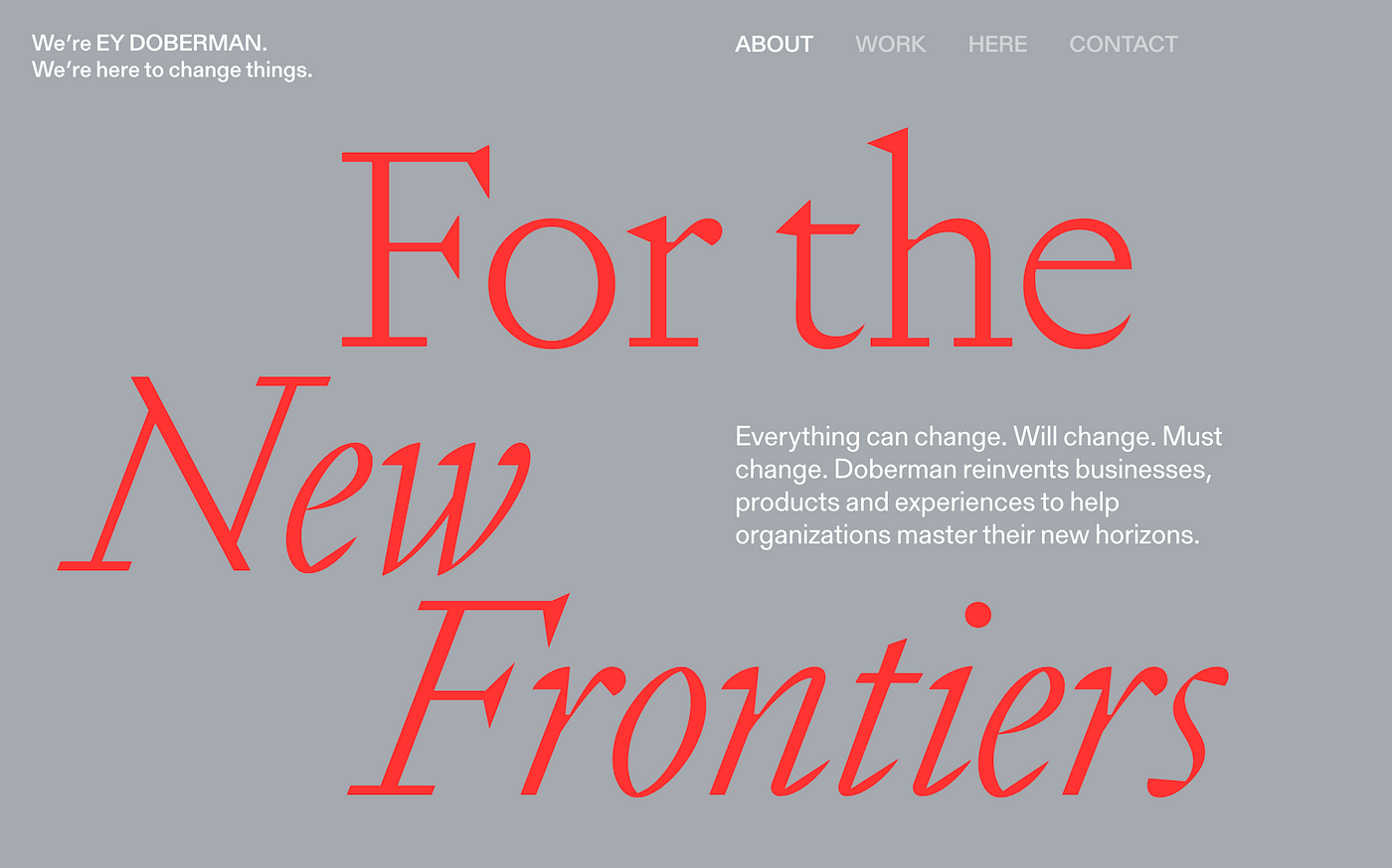 Doberman: UX design agency and digital innovation firm