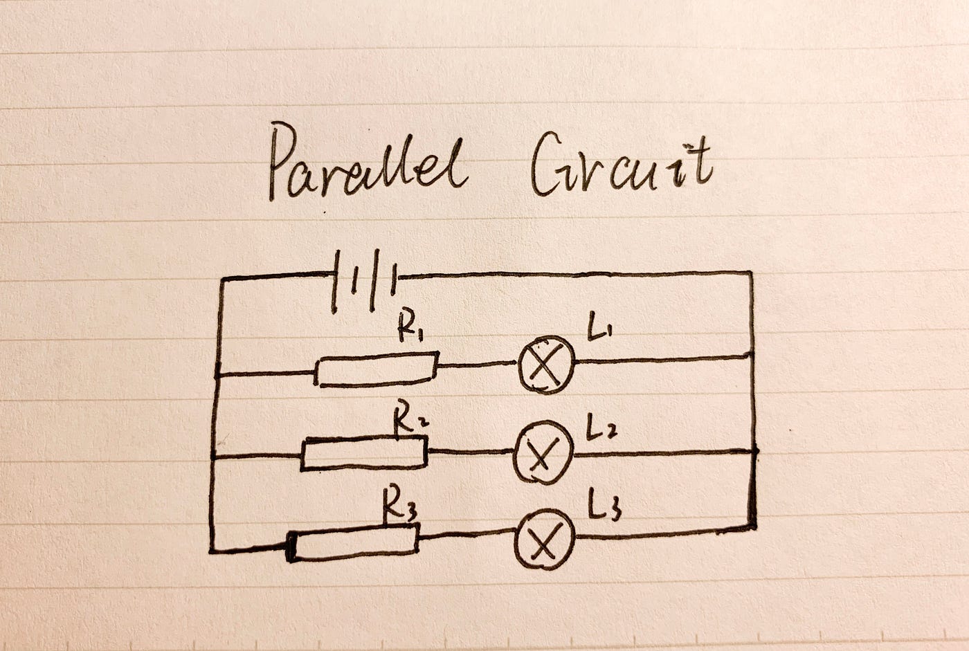 Process of building a series circuit and a parallel circuit with ...