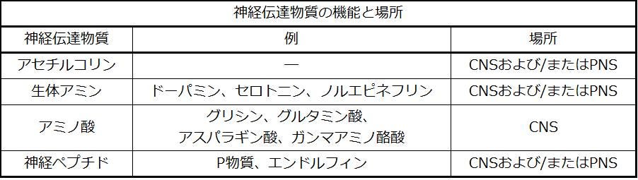生物学 第2版 第35章 神経系 Japanese Translation Of Biology 2e By Better Late Than Never Medium