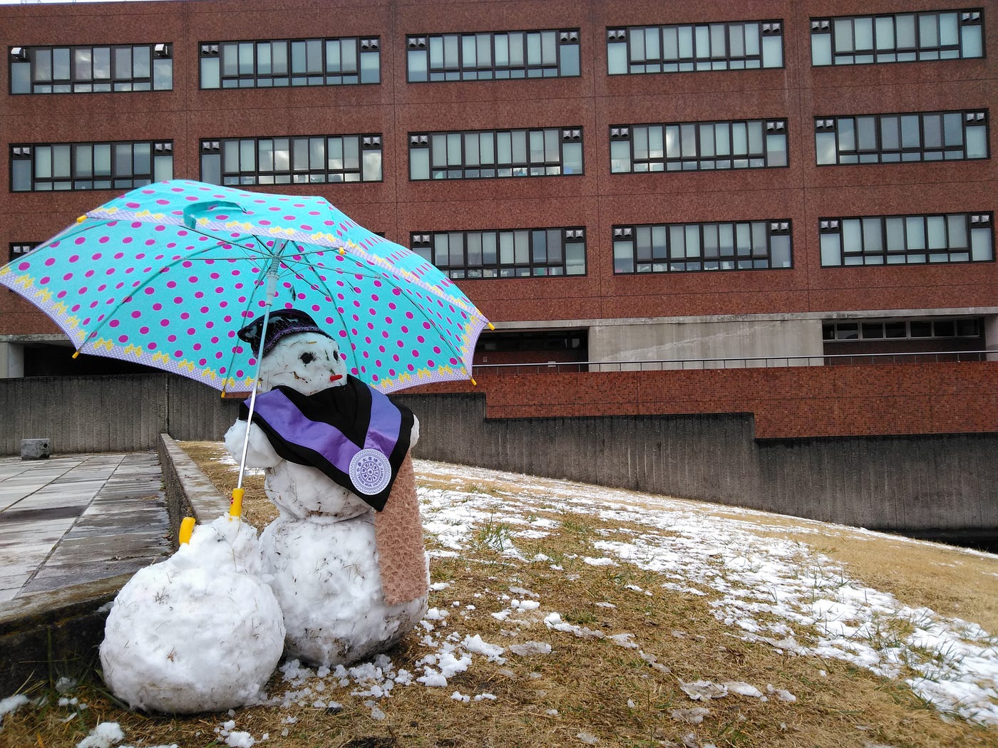 冬季的筑波大學幾景 原來筑波也會 下雪 也有 梅園 By Curlneko 自然捲毛貓in Japan Medium