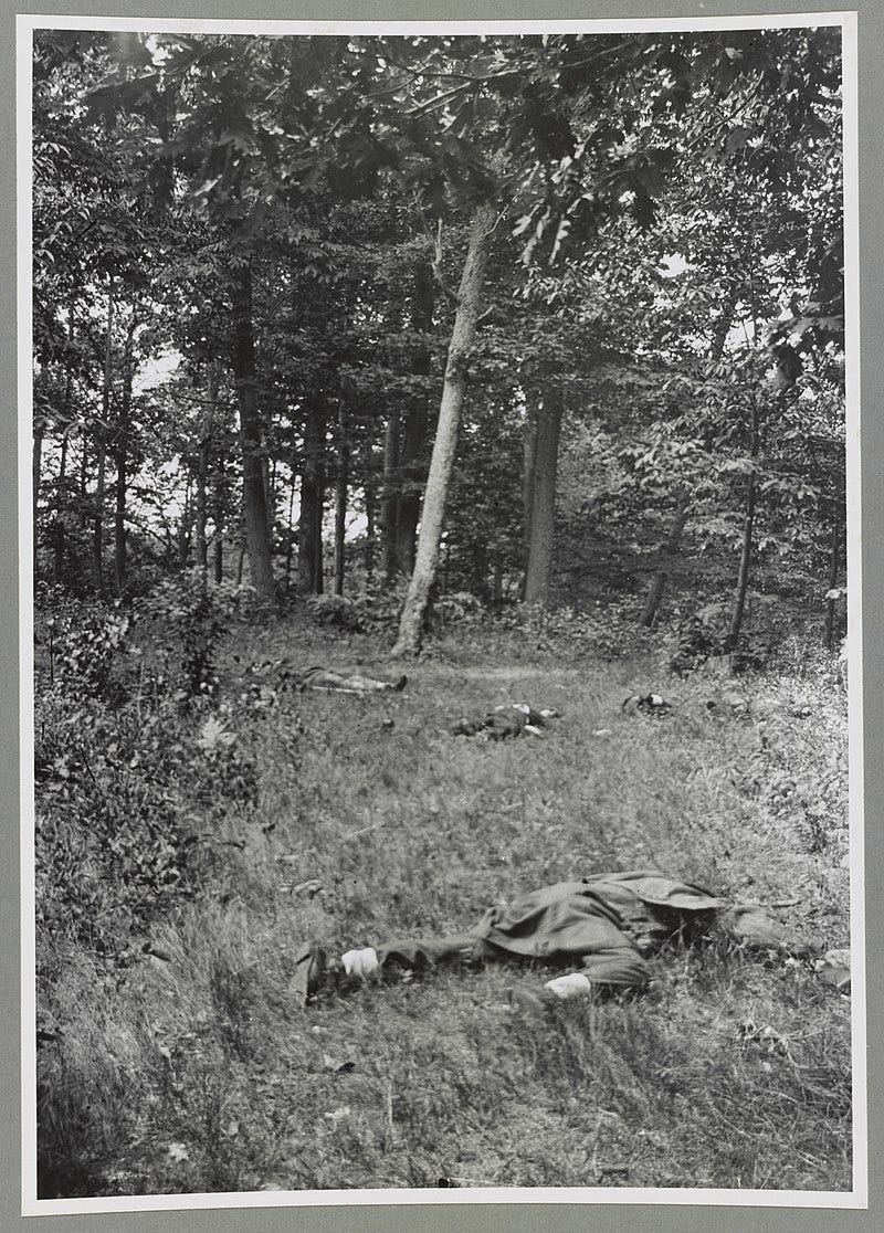 Picture of alleged “Confederate dead on Matthews Hill, Bull Run” photo by Matthew Brady.