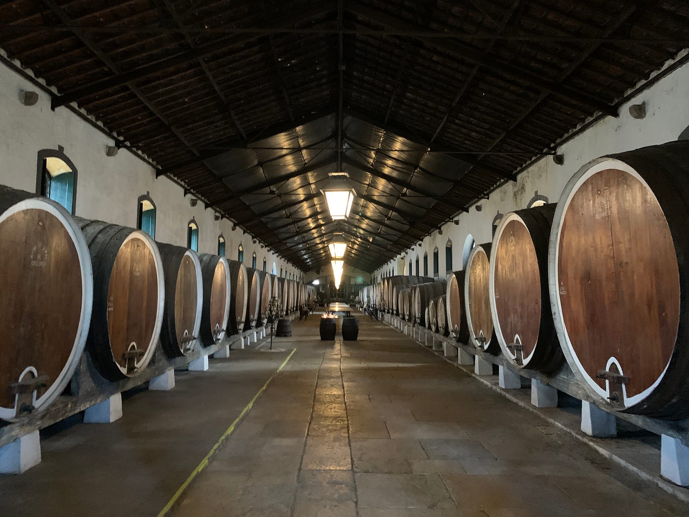 Colares: Portugal's Tough Little Wine | by Tim Ward | Mature Flâneur |  Medium