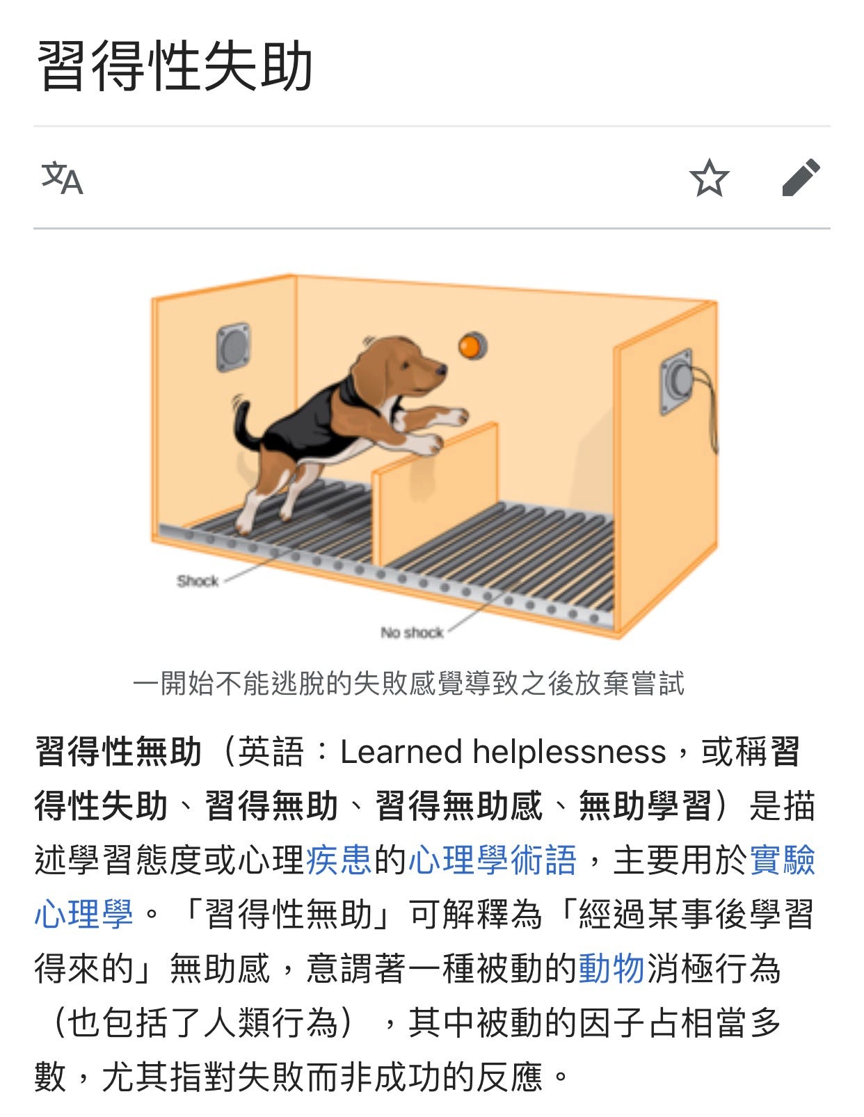 林鄭竟然以為靠 習得性無助 就能消滅香港人 以 林奠月娥為首嘅港共軍政權以為靠 習得性無助 By 爽健 Idea
