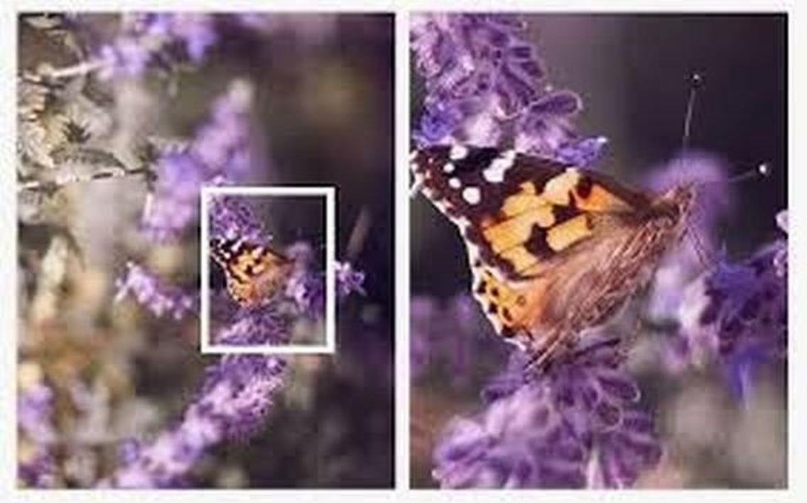 Blow up Pictures in 4 Best Ways — Low Res to High Res Photos by