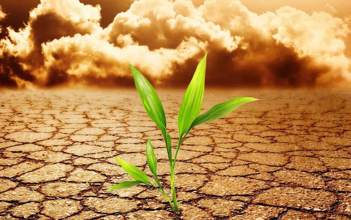 Climate Changing Affect To Grow A Garden By Gardening Care Medium