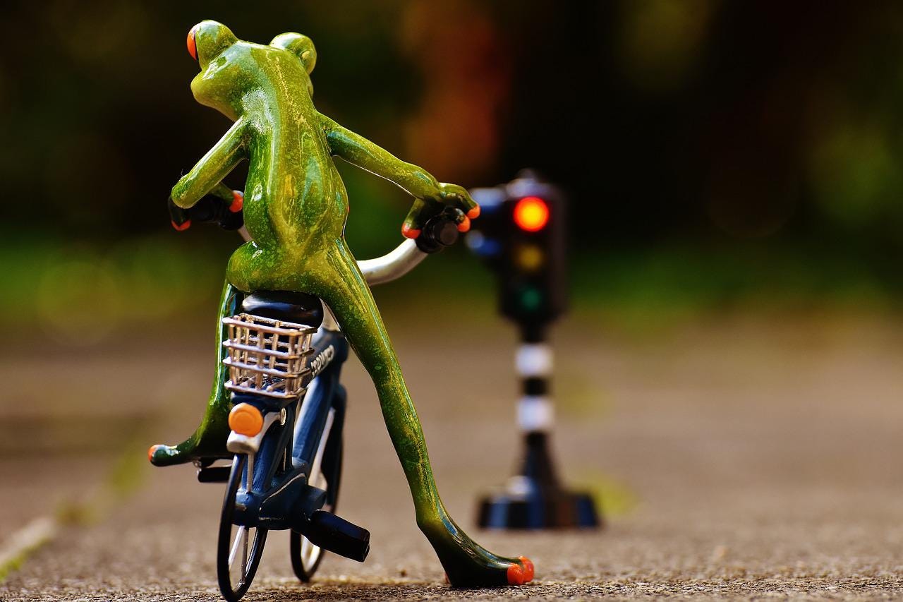 frog, traffic light, rules