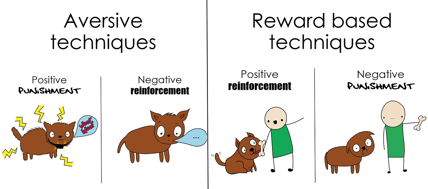 e collar positive reinforcement